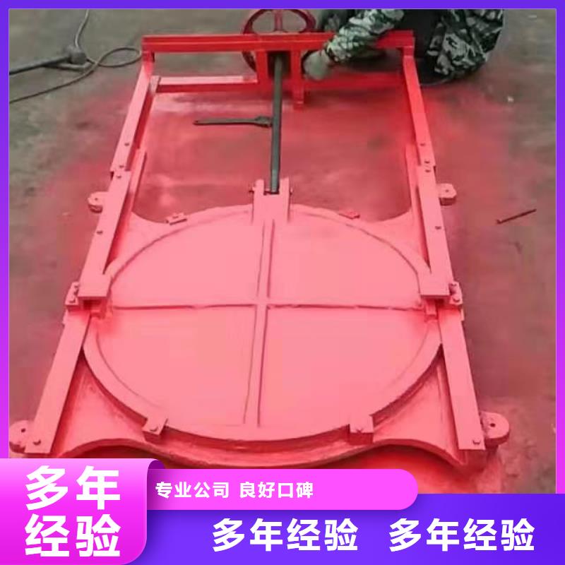 平面拱形闸门可定制厂家