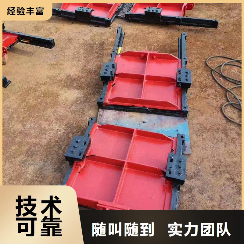 启闭机闸门-水电站启闭机闸门终身维护