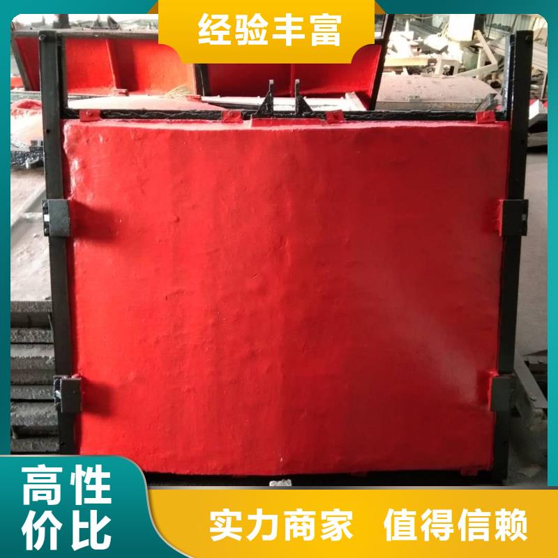 专业销售机闸一体铸铁闸门-全国配送