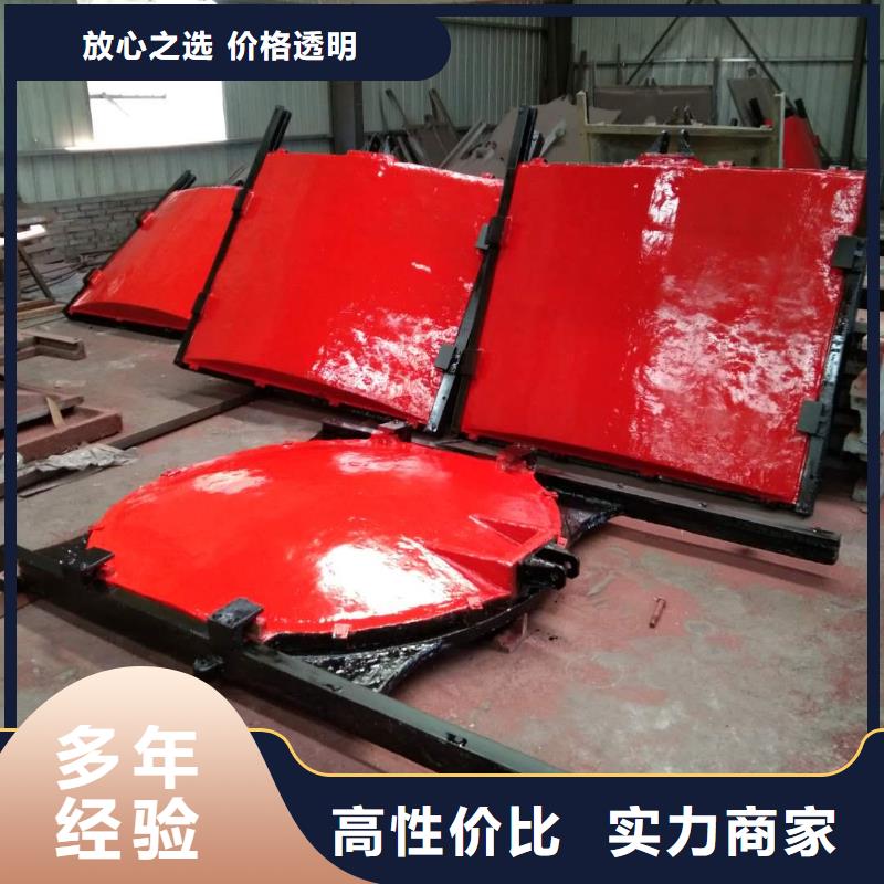 铸铁镶铜闸门-4米*4米铸铁闸门定制化