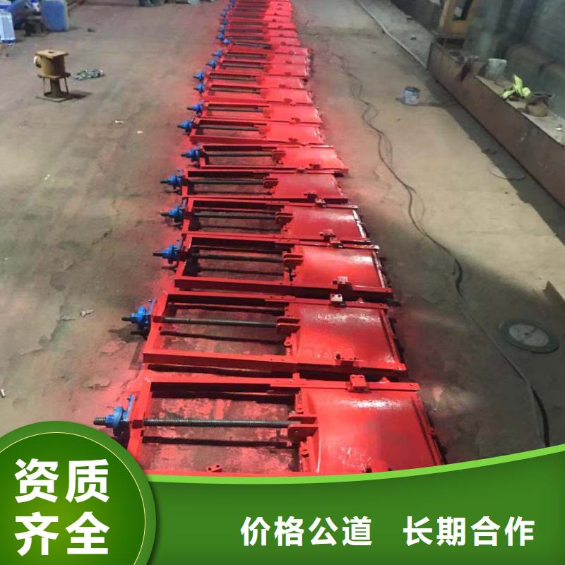 铸铁镶铜闸门可加工设计