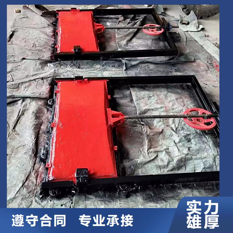 商城县铸铁镶铜闸门