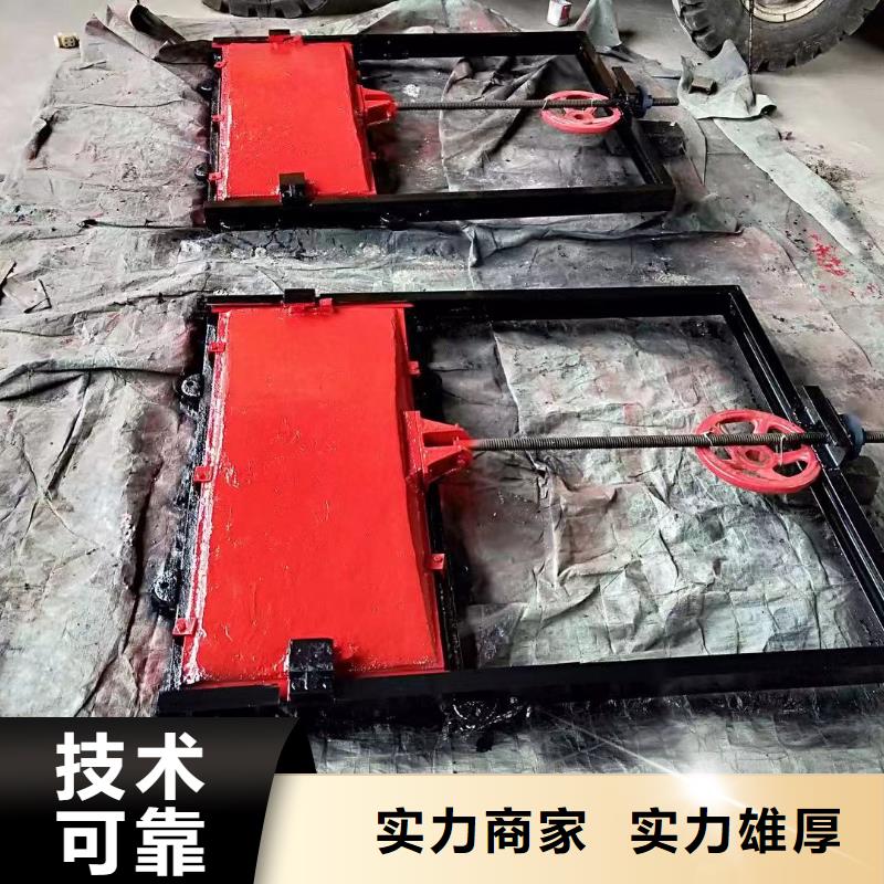 铸铁镶铜闸门-异形铸铁双向止水闸门智慧水利
