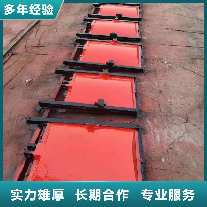 铸铁闸门-视频-卢龙|山海关|张家口|衡水|保定|廊坊|邯郸瑞鑫铸铁闸门_ 瑞鑫启闭机铸铁闸门清污机钢闸门拍门水工机械厂(秦皇岛市分公司)