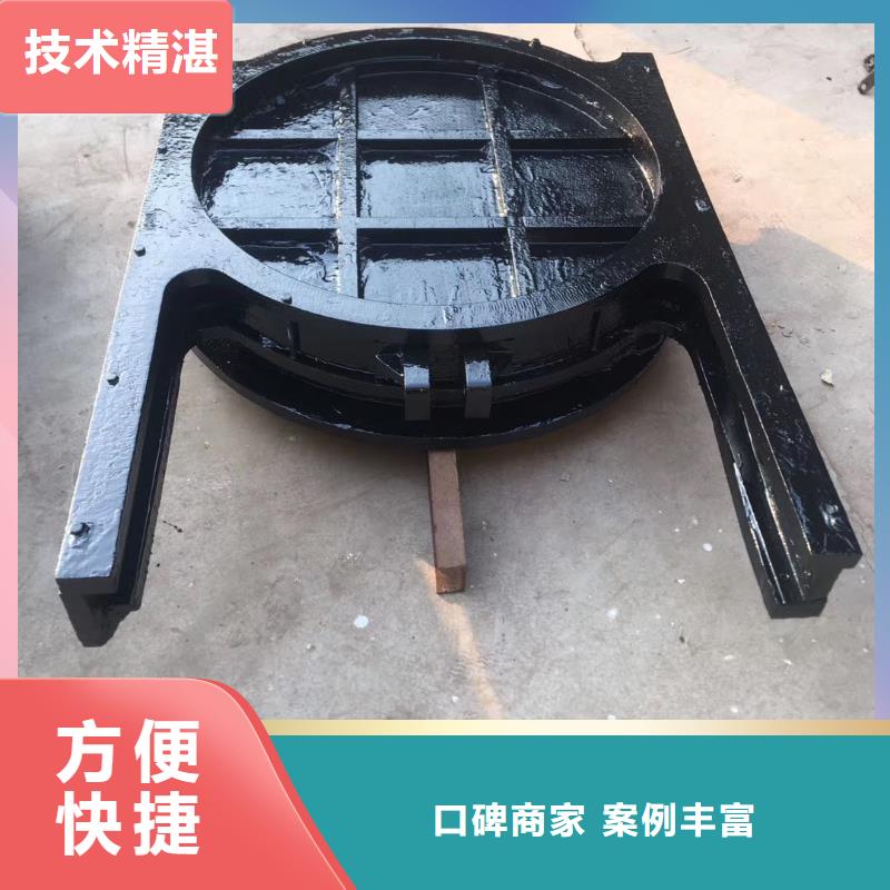 启闭机闸门-水电站水渠铸铁闸门智慧水利