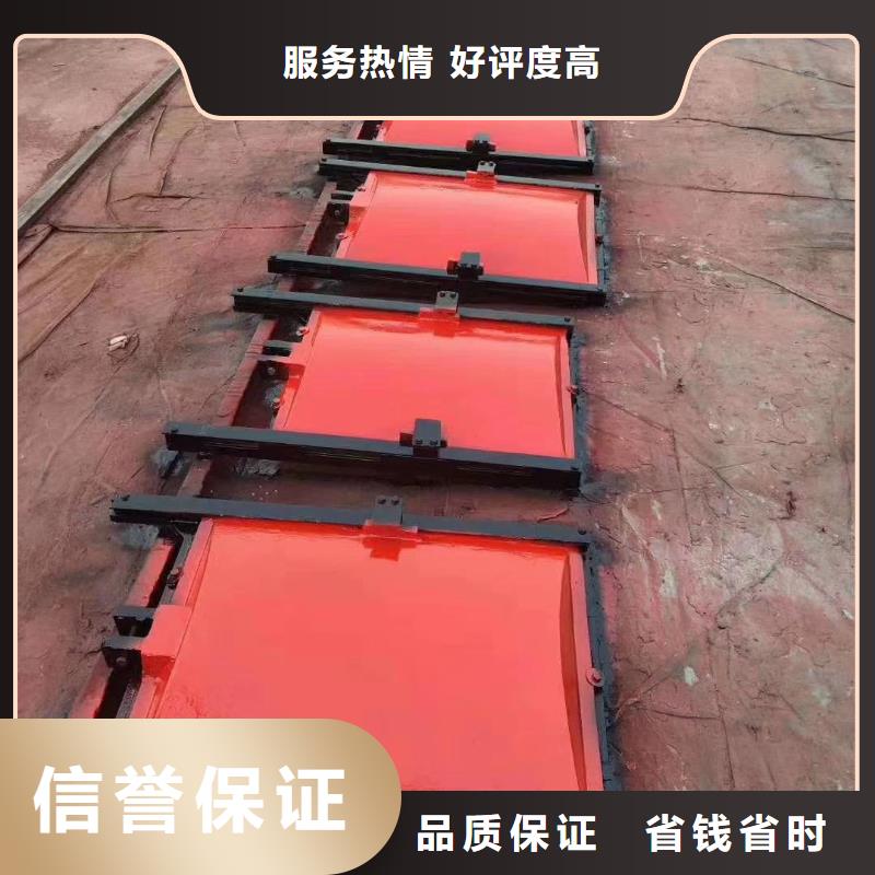 渠道闸门-pz平板平面铸铁闸门智慧水利