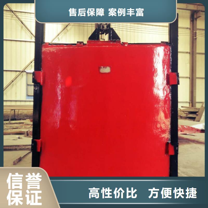 铸铁镶铜闸门-闸门启闭器技术领先