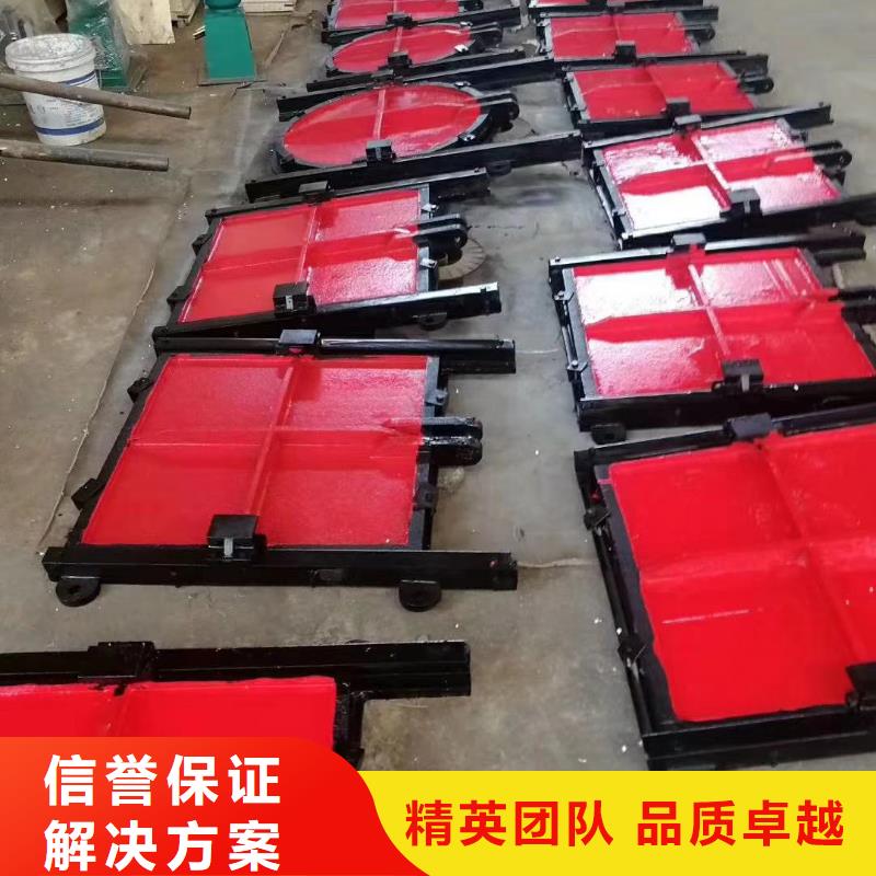 平面拱形闸门真诚的服务