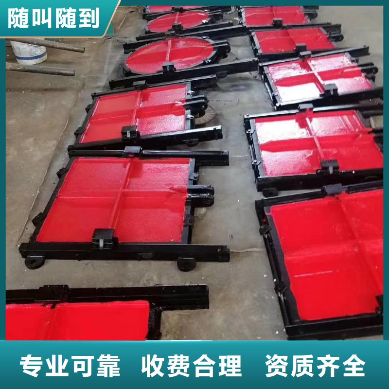 铸铁镶铜闸门-双向铸铁镶铜闸门老牌