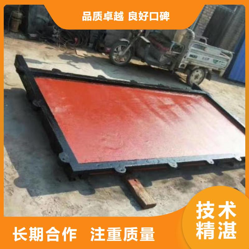 铸铁镶铜闸门-水电站水渠铸铁闸门实力雄厚