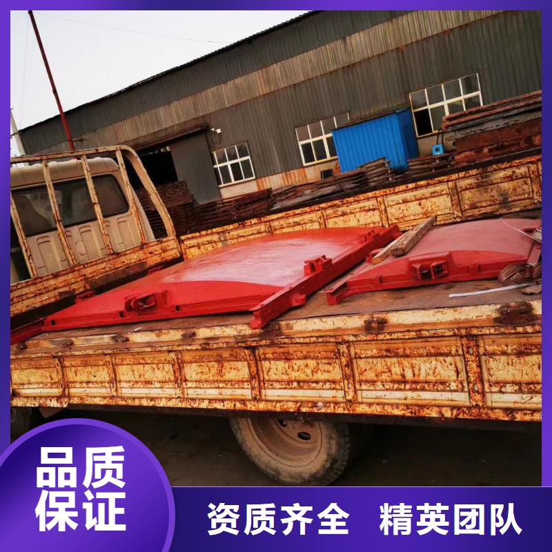 谢通门县河道铸铁闸门