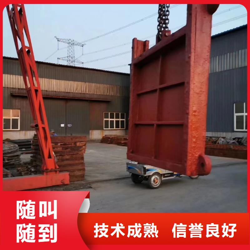 规格齐全的河道铸铁闸门公司