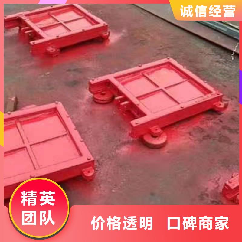 闸门启闭机-铸铁单向止水闸门老品牌