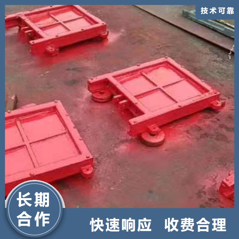 铸铁闸门-止水带橡胶信誉良好