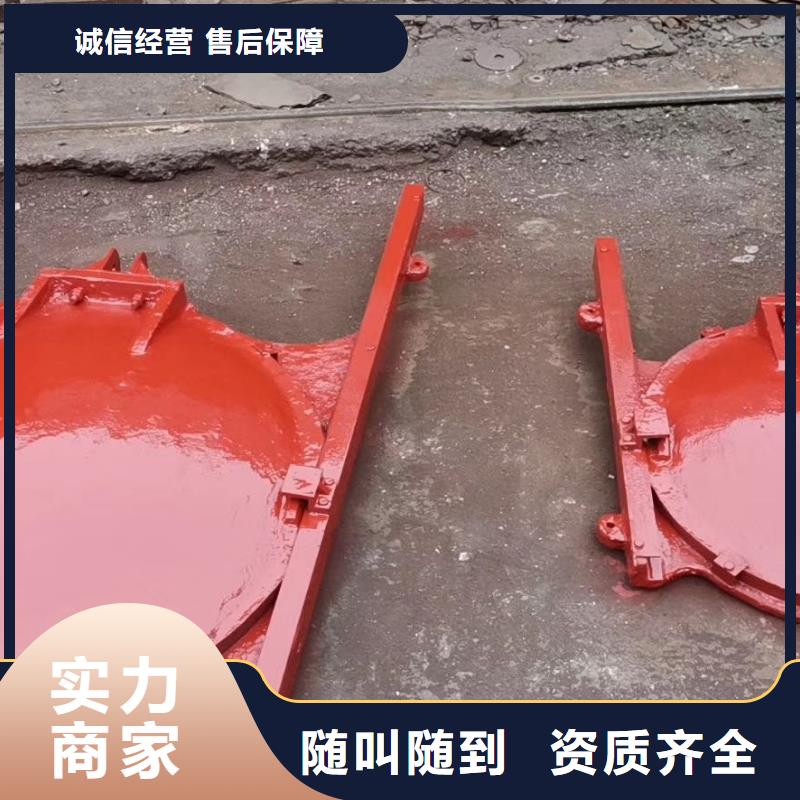 闸门启闭机厂家匠心品质