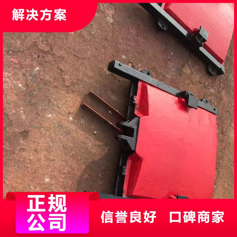 闸门启闭机-水电站启闭机闸门经验丰富
