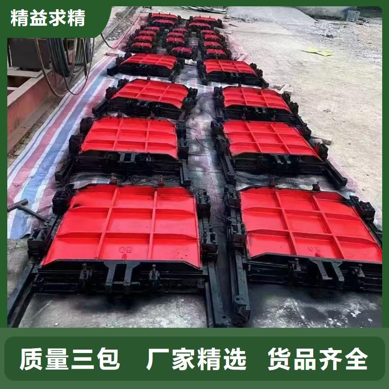 镶铜铸铁闸门源头好货
