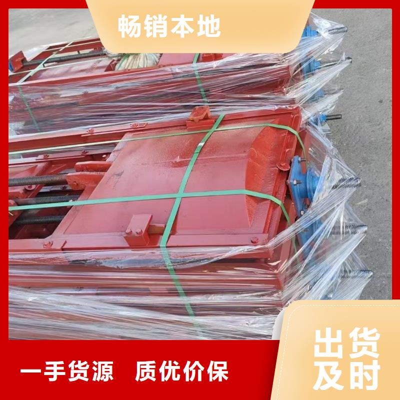 铸铁闸门-铸铁闸门螺杆启闭机售后无忧