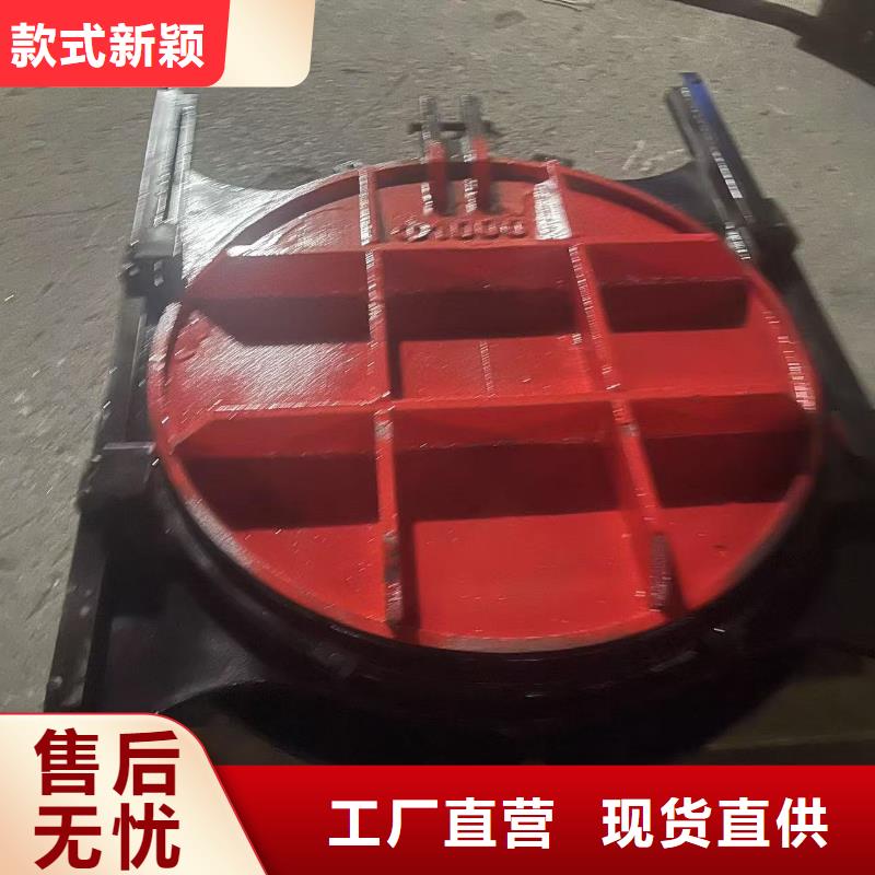 启闭机闸门-河道铸铁闸门一站式