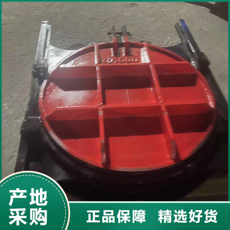 可信赖的一体铸铁闸门厂家