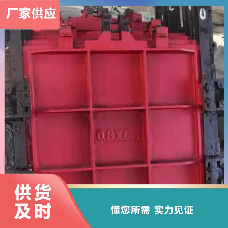 启闭机闸门-3米*3米铸铁闸门精益求精