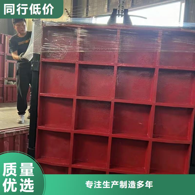 铸铁镶铜闸门厂家,铸铁镶铜闸门批发