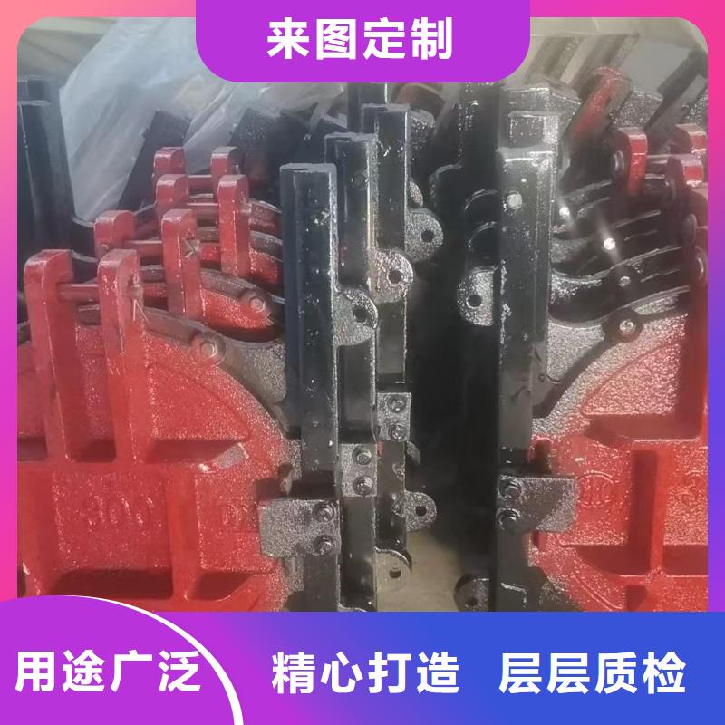 铸铁闸门-平面铸铁闸门老牌