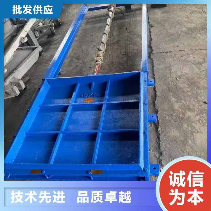 铸铁镶铜闸门-平面钢闸门防腐钢制闸门环保型