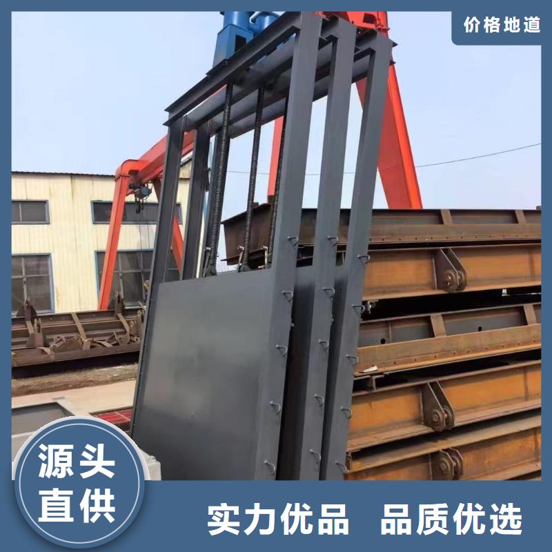 平板钢闸门厂家