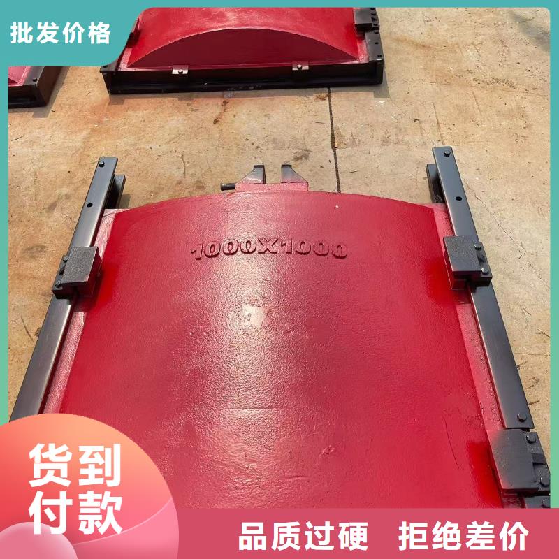 铸铁镶铜闸门可加工设计