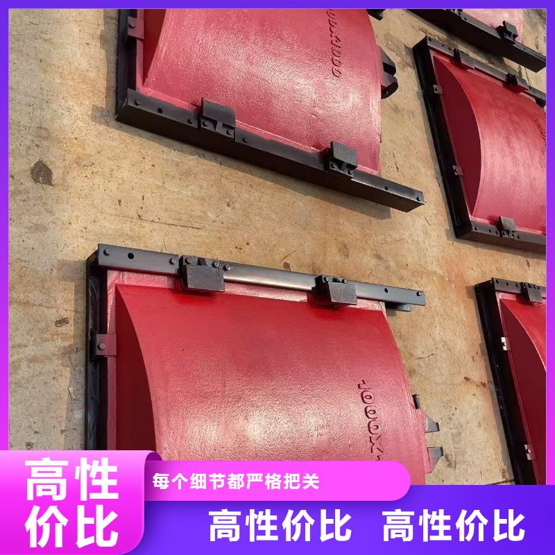 铸铁闸门-双止水铸铁闸门经验丰富