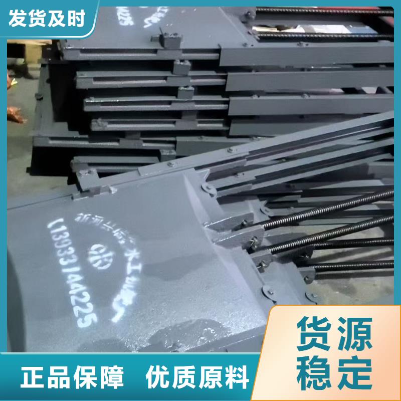 #机门一体铸铁闸门#价格优惠