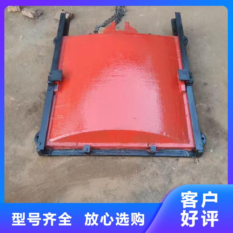 启闭机闸门-平面钢闸门防腐钢制闸门快速响应