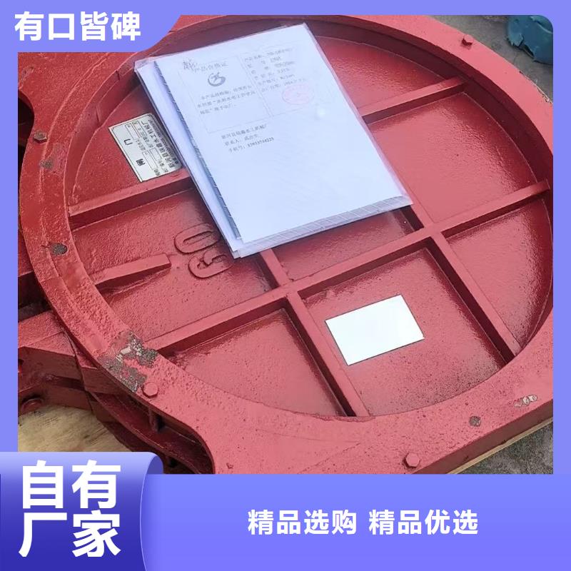 铸铁镶铜闸门-平板钢闸门经久耐用