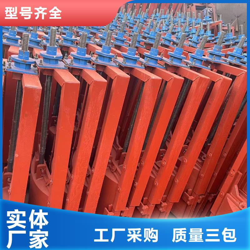 铸铁闸门-平面铸铁闸门老牌