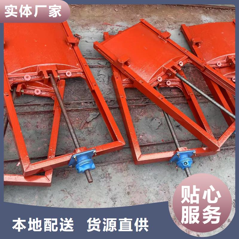 闸门启闭机-铸铁单向止水闸门老品牌