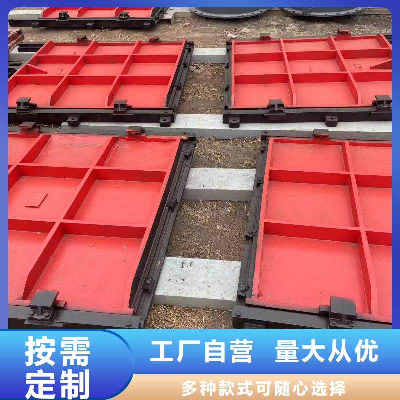 启闭机闸门-平面钢闸门防腐钢制闸门技术领先