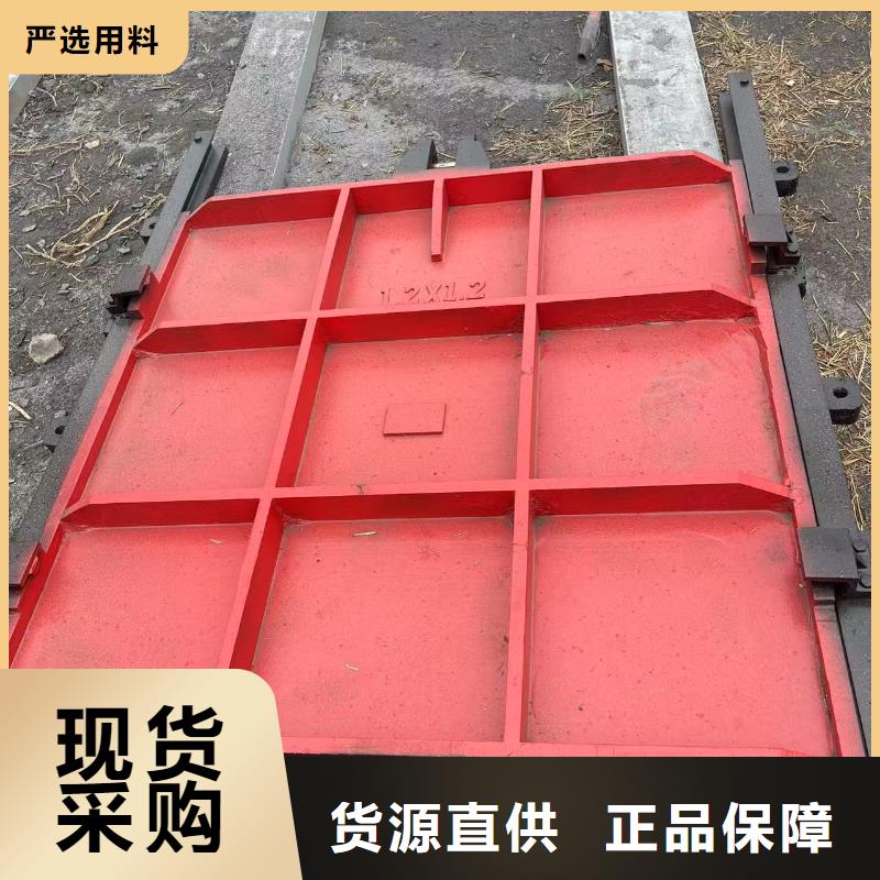 经验丰富的管道闸门批发商