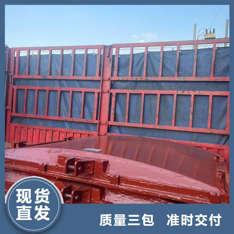 铸铁闸门-铸铁镶铜附壁闸门精益求精