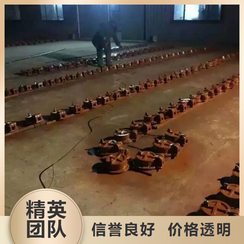 可定制的不锈钢闸门拍门供应商