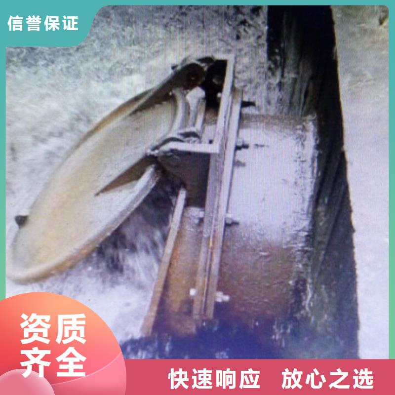 法兰连接内径1.2米铸铁拍门
