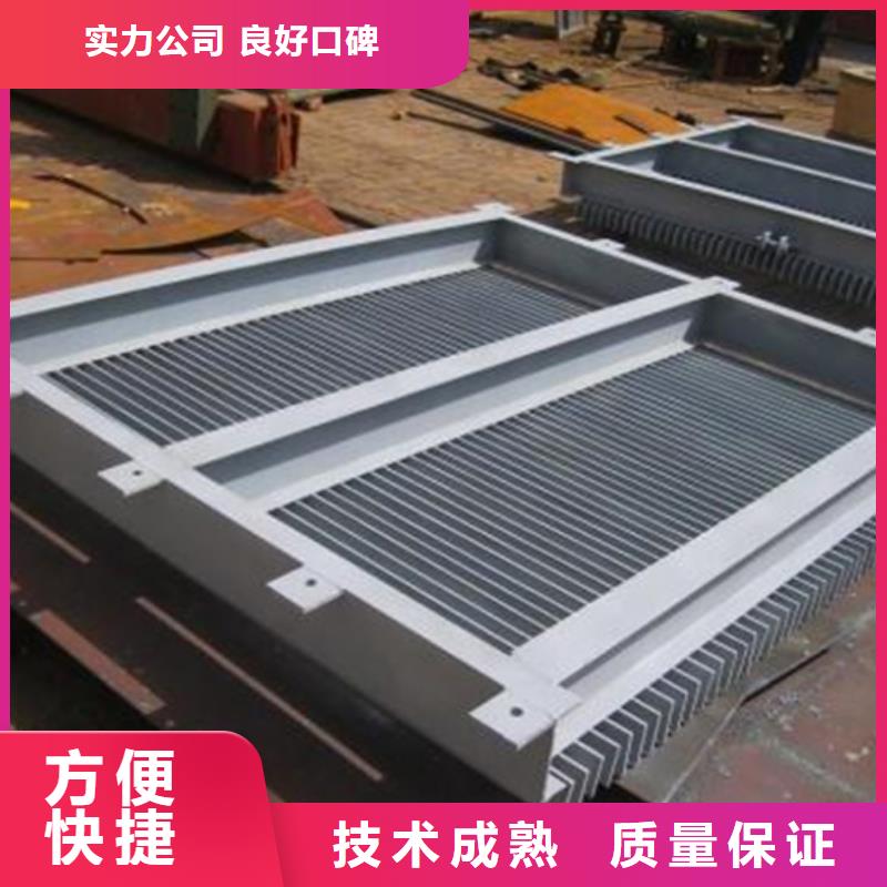 循环式齿耙清污机批量销售