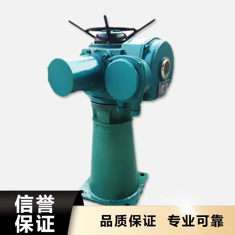 卷扬启闭机电装启闭机快速响应
