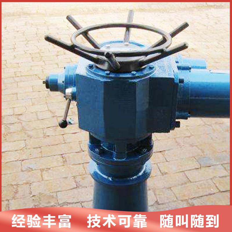 10吨启闭机生产定制