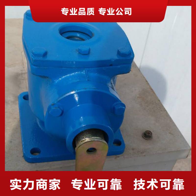 卷扬启闭机手电两用螺杆启闭机品质保障