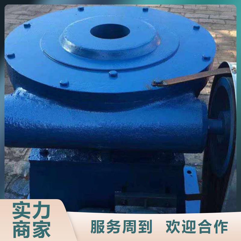 2025经验丰富#卷扬启闭机定制#源头厂家