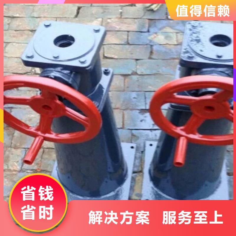 2025经验丰富#卷扬启闭机定制#源头厂家
