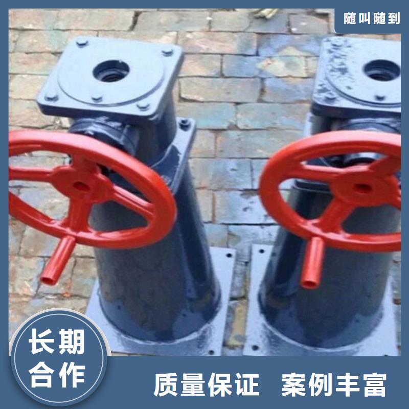 定制侧摇启闭机_诚信企业