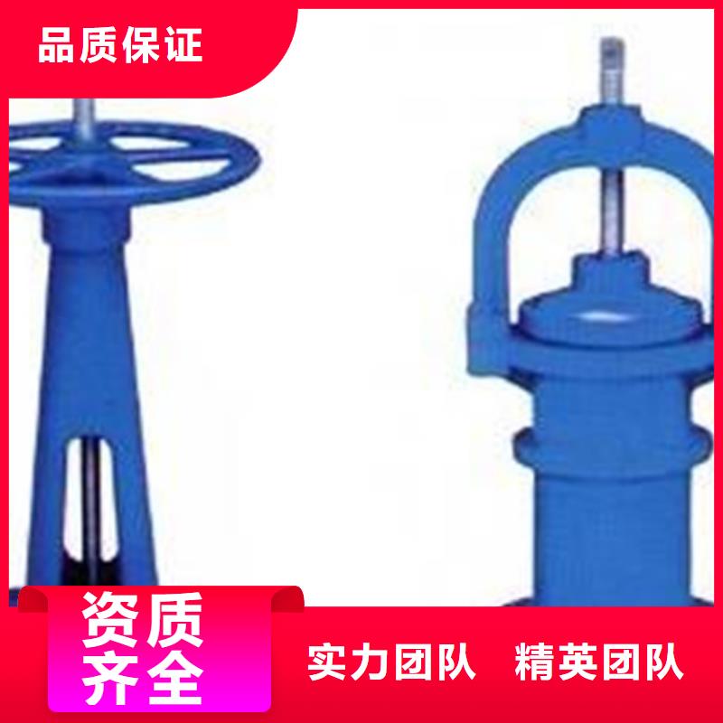 启闭机闸门直连启闭机价格实惠