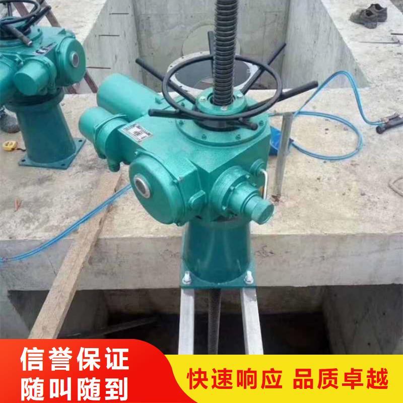 ql启闭机贴心服务